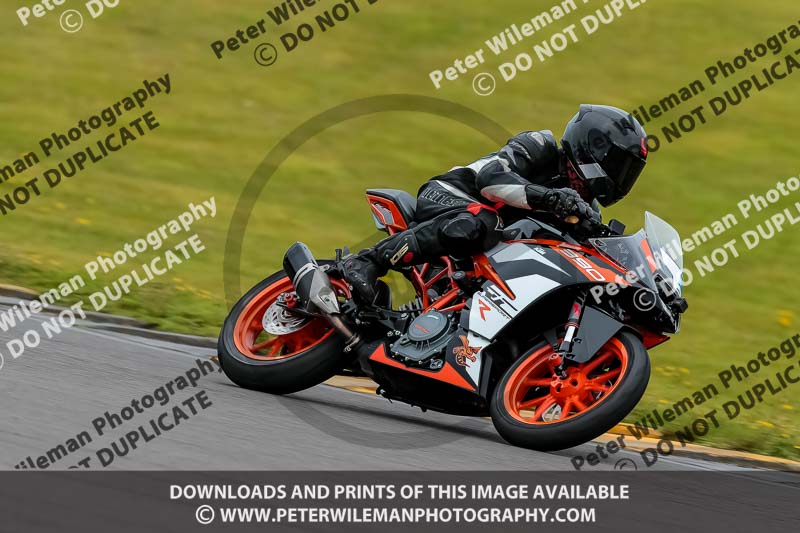 PJ Motorsport 2019;anglesey no limits trackday;anglesey photographs;anglesey trackday photographs;enduro digital images;event digital images;eventdigitalimages;no limits trackdays;peter wileman photography;racing digital images;trac mon;trackday digital images;trackday photos;ty croes